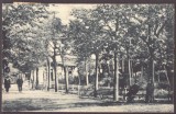 3678 - TECUCI, Public Garden, Romania - old postcard - used - 1930, Circulata, Printata