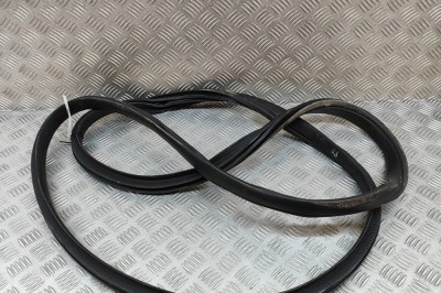 Garnitura ușă dreapta față TESLA MODEL X 2020 OEM: 1459237-00-F | 29795982 foto