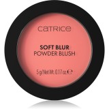 Catrice Soft Blur Powder Brush fard de obraz sub forma de pudra cu efect matifiant culoare 040 Pink Positive 5 g