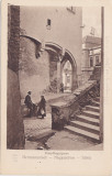 CP SIBIU Hermannstadt Pempflingergasse ND(1917), Circulata, Fotografie