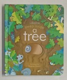 PEEP INSIDE A TREE , illustrated by SIMONA DIMITRI , 2018