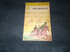 LOLA STERE CHIRACU - CER INSTELAT