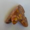 miniatură broască țestoasă sculptată &icirc;n piatră (gen marmură) L 7 cm, l 4,5, h 3