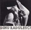 Album Arta Dinu Radulescu 1986 brosat romana engleza 15 pagini buna