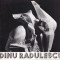 Dinu Radulescu