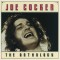 Joe Cocker The Anthology (2cd)
