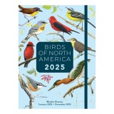 Birds of North America Undated Weekly and Monthly Planner