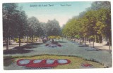 530 - LACUL SARAT, Braila, Park, Romania - old postcard, CENSOR - used - 1917, Circulata, Printata