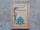 Marcu Beza - Calea Destinului, 1938
