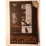 Preot Constantin Necula - &Icirc;ndumnezeirea maidanului: pastorația Bisericii &icirc;n spatele blocurilor