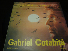 Disc vinil - Gabriel Cotabita foto