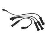 Set Cablaj Aprindere 439893 05858