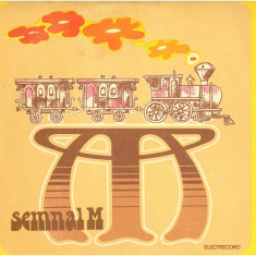 Semnal M - Trenul Cursa de persoane (1979 - Electrecord - LP / VG)