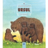 Animale salbatice in natura: Ursul