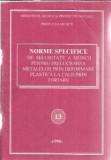 Norme specifice de securitate a muncii pentru prelucrarea metalelor prin deformare plastica la cald prin forjare