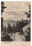 CPIB 17484 CARTE POSTALA - CABANA POSTAVARUL. VEDERE SPRE PIATRA CRAIULUI, RPR, Circulata, Fotografie