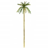 Decor palmier