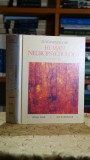 Cumpara ieftin Fundamentals of Human Neuropsychology Kolb Whishaw Editura W. H. Freeman 1990 Psihologie Coperta Cartonata Carte Stare Buna Carte Bună