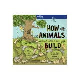 How Animals Build
