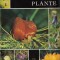 Aceste uimitoare plante - Tudor Opris