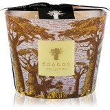 Baobab Collection Sacred Trees Cocody lum&acirc;nare parfumată 10 cm