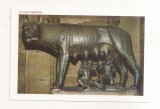 FA160 - Carte Postala - ITALIA - Roma, La Lupa Capitolina, necirculata