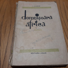 DOMNISOARA AFRICA - roman - I. Ludo - Editura "Adam", 1935, 281 p.