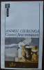 ANDREI CIURUNGA (ROBERT CAHULEANU): CEASURI FARA MINUTARE(POEME INCHISOARE/1996)