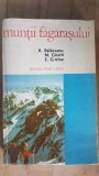 Muntii Fagarasului- V. Balaceanu, M.Cicotti, E.Cristea
