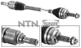 SNR DK55.006 Planetara