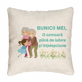 Perna Decorativa Canapea pentru Bunici 3, 40x40 cm, Cu fermoar