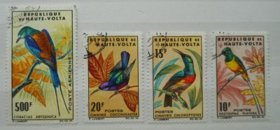 VOLTA SUPERIOARA SERIE PASARI foto