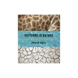 Patterns in Nature: Why the Natural World Looks the Way It Does