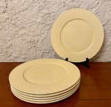 6 FARFURII MARI- MARCAJ VILLEROY BOCH- PIEMONT ESTIVO D32CM