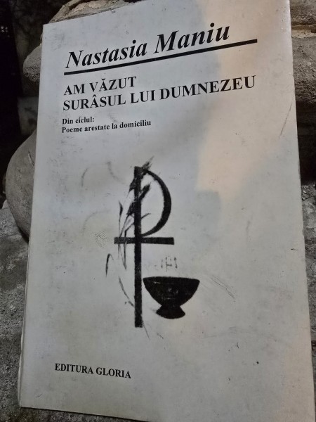 Am vazut surasul lui Dumnezeu - Nastasia Maniu