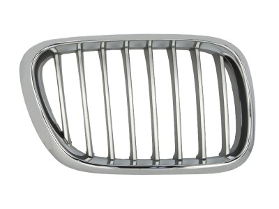 Grila radiator BMW X5 (E53) (2000 - 2006) BLIC 6502-07-0095992P foto