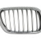 Grila radiator BMW X5 (E53) (2000 - 2006) BLIC 6502-07-0095992P