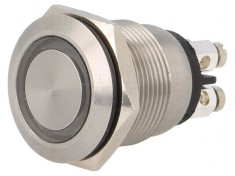 Comutator Anti-Vandalism IP66 SPST-NO 0,05A 24VDC