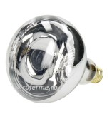 Bec incalzire 250W, infrarosu, sticla transparenta