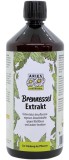 Extract de Urzica Ecologic 1L Aries - Solutie Naturala Pentru Protectia Plantelor