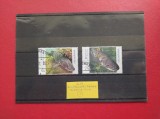 2024 - FAUNA SUBACVATIVA ( 1 )
