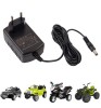 Incarcator masinute electrice, tensiune 12V, curent 1000MA, ProCart