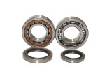 Set rulmenti ambielaj Sherco Enduro 250 08- 16, Enduro 300 4T 08- 16 CBK75002, Worx