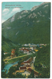 5458 - Baile HERCULANE, Panorama, Romania - old postcard - unused, Necirculata, Printata