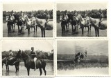 M1294N Copii cu cai la r&acirc;u, Rom&acirc;nia, perioada interbelică, lot de 4 fotografii