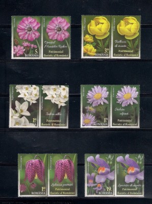 ROMANIA 2019 - PATRIMONIUL FLORISTIC AL ROMANIEI, VINIETA, MNH - LP 2250a foto