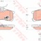 Set placute frana,frana disc TOYOTA COROLLA (E11) (1997 - 2002) TRW GDB3334