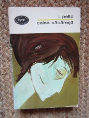 I. Peltz - Calea Vacaresti