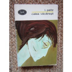 I. Peltz - Calea Vacaresti