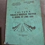 Cultura pomilor si arbustilor fructiferi in gradina de langa casa